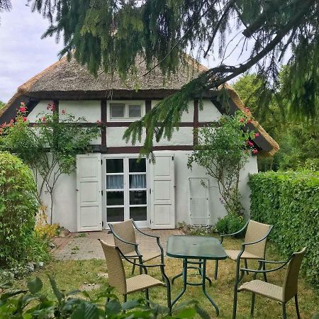 Kleine Reetgedeckte Doppelhaushaelfte In Idyllischer Lage Nardevitz Exterior foto